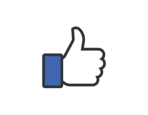 facebook advertising, the gratzi inc, kenosha facebook ads