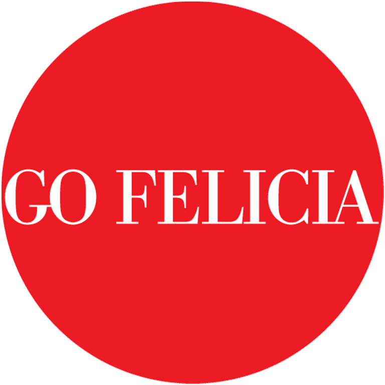 felicia pavlica, the gratzi, kenosha, wi, move up on google