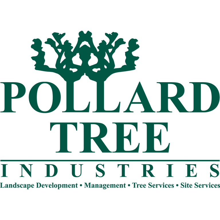 pollard tree, the gratzi, kenosha, wi, move up on google